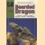 The guide to owning a Bearded Dragon. Selection, housing, feeding, breeding, ailments, frilled dragons door David Zoffer e.a.