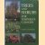 Trees and Shrubs for Temperate Climates door Gordon Courtright