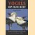 Vogels op hun best. De beste vogelreportages uit De Telegraaf
Hans Peeters
€ 5,00 Vogels op hun best. De beste vogelreportages uit De Telegraaf
Hans Peeters
€ 5,00