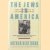 Jews in America. Four Centuries of an Uneasy Encounter: A History door Arthur Hertzberg