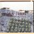 Battlefields & Beekeepers
Jan Fabre e.a.
€ 12,50 Battlefields & Beekeepers
Jan Fabre e.a.
€ 12,50