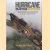 Hurricane R4118 Revisited. The Extraordinary Story of the Discovery and Restoration to Flight of a Battle of Britain Survivor: The Adventure Continues 2005-2017
Peter Vacher
€ 12,50