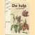 De tulp verbeeld. Hollandse tulpenhandel uit de 17de eeuw
Sam Segal
€ 9,00 De tulp verbeeld. Hollandse tulpenhandel uit de 17de eeuw
Sam Segal
€ 9,00