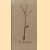 De boom
Hans Lemmen e.a.
€ 10,00 De boom
Hans Lemmen e.a.
€ 10,00