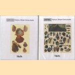 Topical Stamp Catalogues: Shells (2 volumes)
D.L. Bekker e.a.
€ 80,00
