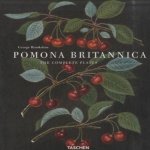 Pomona Britannica. The complete plates - Die vollständigen Tafeln - Les planches complètes
George Brookshaw
€ 15,00 Pomona Britannica. The complete plates - Die vollständigen Tafeln - Les planches complètes
George Brookshaw
€ 15,00
