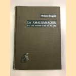 La amalgamación de los minerales de plata en Hispanoamérica colonial
Modesto Bargallo e.a.
€ 550,00