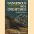Dangerous Sea Creatures: A Complete Guide to Hazardous Marine Life
Thomas Helm
€ 5,00 Dangerous Sea Creatures: A Complete Guide to Hazardous Marine Life
Thomas Helm
€ 5,00