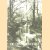 De Linnerweerd. Beeld van een Middenlimburgs uiterwaardenlandschap *GESIGNEERD*
J.T. Hermans
€ 10,00 De Linnerweerd. Beeld van een Middenlimburgs uiterwaardenlandschap *GESIGNEERD*
J.T. Hermans
€ 10,00