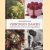 Verborgen smaken. Haal het beste uit de mooiste ingredienten
John Burton Race
€ 8,00 Verborgen smaken. Haal het beste uit de mooiste ingredienten
John Burton Race
€ 8,00