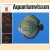 Aquariumvissen
Hans J. Mayland
€ 5,00 Aquariumvissen
Hans J. Mayland
€ 5,00