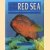 Wonders of the Red Sea. 317 colour photos & illustrations
David Fridman
€ 8,00