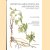 Ceropegia, Brachystelma and Riocreuxia in southern Africa
R. Allen Ddyer
€ 125,00