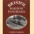 Bristol Railway Panorama door Colin Maggs