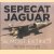 Sepecat Jaguar. Almost Extinct
Peter Foster
€ 15,00 Sepecat Jaguar. Almost Extinct
Peter Foster
€ 15,00