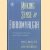 Making Sense of Fibromyalgia C. A guide for patients and their families door Daniel J. Wallace e.a.