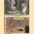 Towards Modern Art. From Puvis De Chavannes to Matisse and Picasso
Serge Lemoine
€ 60,00