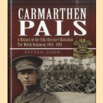 Carmarthen Pals. A History of the 15th (Service) Battalion the Welsh Regiment, 1914-1919
Steven John
€ 12,50