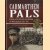 Carmarthen Pals. A History of the 15th (Service) Battalion the Welsh Regiment, 1914-1919 door Steven John