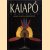 Kaiapó amazonie. De kunst van de lichaamsornamentiek door Gustaaf Verswijver
