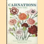 Carnations
Steven Bailey
€ 10,00