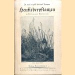 Heufieberpflanzen
Gerhard Benzmer
€ 10,00