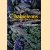 Chameleons: The Little Lions of the Reptile World
Jeanne Cowden
€ 10,00 Chameleons: The Little Lions of the Reptile World
Jeanne Cowden
€ 10,00