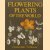 Flowering Plants of the World
V.H. Heywood
€ 10,00