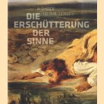Constable, Delacroix, Friedrich, Goya: Die Erschütterung der Sinne / A Shock to the Sense door Ulrich Bischoff e.a.