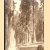 Some trees
Paul Andriesse
€ 35,00 Some trees
Paul Andriesse
€ 35,00