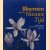 Bloemen van de Nieuwe Tijd. Nederlandse bloemschilderkunst 1980-2000
Marty Bax e.a.
€ 8,00