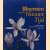 Bloemen van de Nieuwe Tijd. Nederlandse bloemschilderkunst 1980-2000
Marty Bax e.a.
€ 8,00 Bloemen van de Nieuwe Tijd. Nederlandse bloemschilderkunst 1980-2000
Marty Bax e.a.
€ 8,00