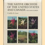 The Native Orchids of The United States and Canada excluding Florida
Carlyle A. Luer
€ 100,00 The Native Orchids of The United States and Canada excluding Florida
Carlyle A. Luer
€ 100,00