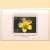 The Audubon Society Pocket Guides: Familiar Flowers of North America. Eastern Region
Richard Spellenberg
€ 5,00 The Audubon Society Pocket Guides: Familiar Flowers of North America. Eastern Region
Richard Spellenberg
€ 5,00