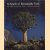 In Search of Remarkable Trees. On Safari in Southern Africa
Thomas Pakenham
€ 15,00 In Search of Remarkable Trees. On Safari in Southern Africa
Thomas Pakenham
€ 15,00