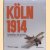 Köln 1914: Metropole im Westen door Petra Hesse e.a.