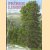 Príbeh limby: ilustrovaný príbeh o najstarsom strome v Tatranskom národnom parku
Vladivoj Vancura e.a.
€ 12,50