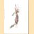 Met andere ogen
Marieke Sanders e.a.
€ 9,00 Met andere ogen
Marieke Sanders e.a.
€ 9,00
