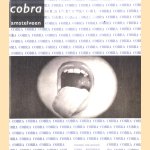 Knoeiers kladders verlakkers. CoBrA 60 door Lieke Fijen e.a.