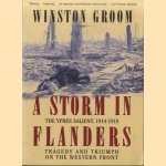 A Storm in Flanders. The Ypres Salient, 1914-1918: Tragedy and Triumph on the Western Front
Winston Groom
€ 8,00