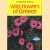 Wild flowers of Greece
George Sfikas
€ 5,00 Wild flowers of Greece
George Sfikas
€ 5,00