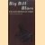 Big Bill Blues. William Broonzy's Story door Yannick Bruynoghe