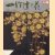 The Sun Special Issue: Itchiku Tsujigahana (Japanese edition)
Charles S. Terry
€ 40,00 The Sun Special Issue: Itchiku Tsujigahana (Japanese edition)
Charles S. Terry
€ 40,00