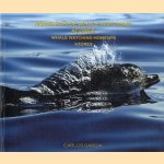 Momentos de Whale Watching Açores / Whale Watching Moments Azores door Carlos Garcia