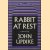 Rabbit at rest door John Updike