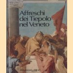 Affreschi dei Tiepolo nel Veneto door Carlo Sgorlon