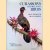 Curassows and Related Birds
Jean Delacour e.a.
€ 35,00 Curassows and Related Birds
Jean Delacour e.a.
€ 35,00