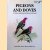 Pigeons and Doves. A Guide to the Pigeons and Doves of the World
David Gibbs e.a.
€ 65,00