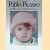 Pablo Picasso. Die Bilanz eines schöpferischen Lebens
Danièle Giraudy
€ 30,00