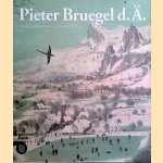 Pieter Bruegel der Ältere im Kunsthistorischen Museum Wien door Wilfried Seipel